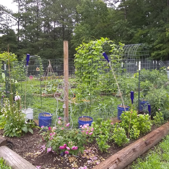 Meet your Posher, Robin - Picture 8 of 8